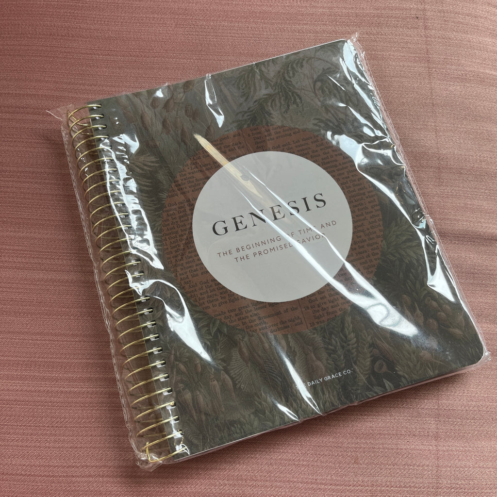 NWT Genesis Bible Study