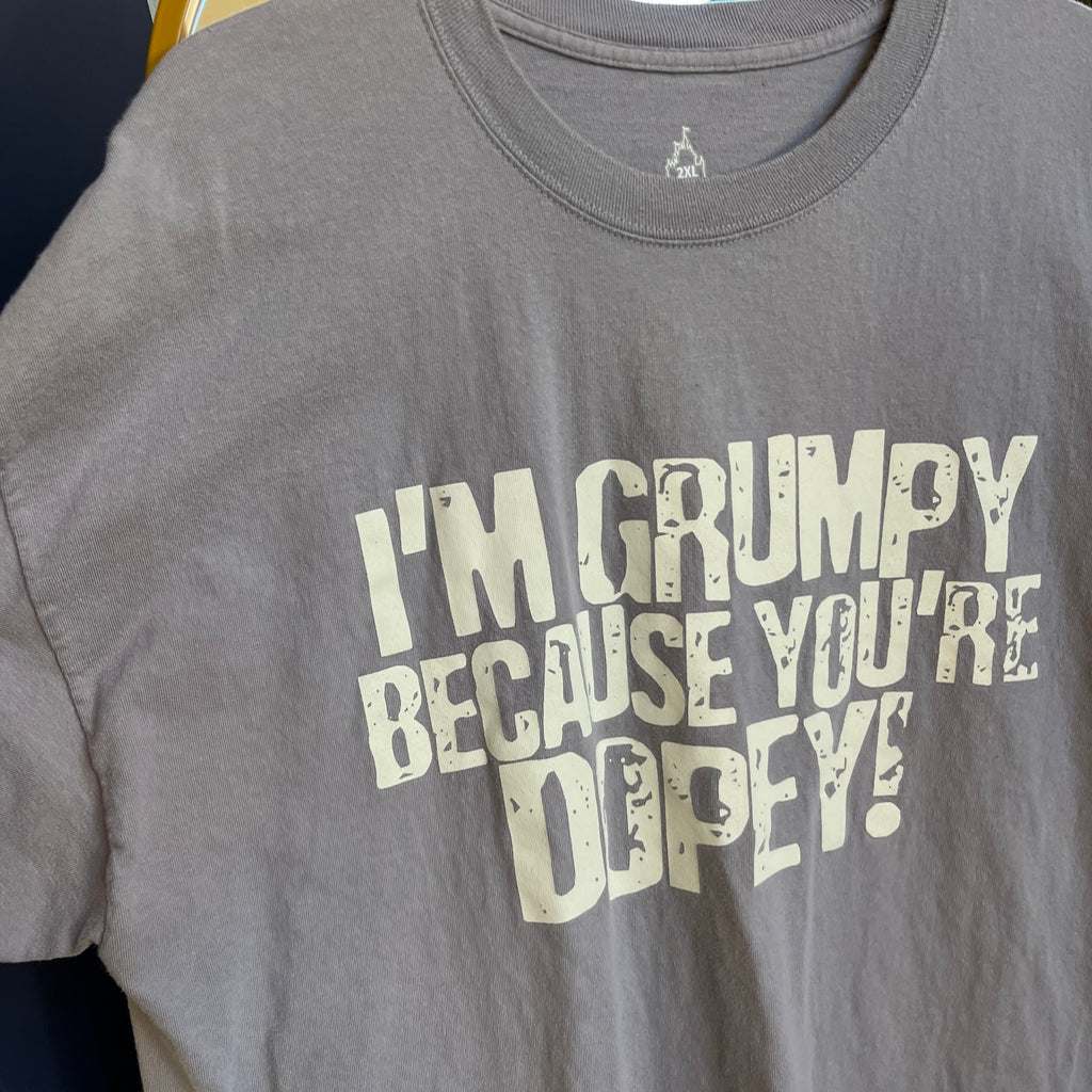 Grumpy Disney Shirt (2XL)