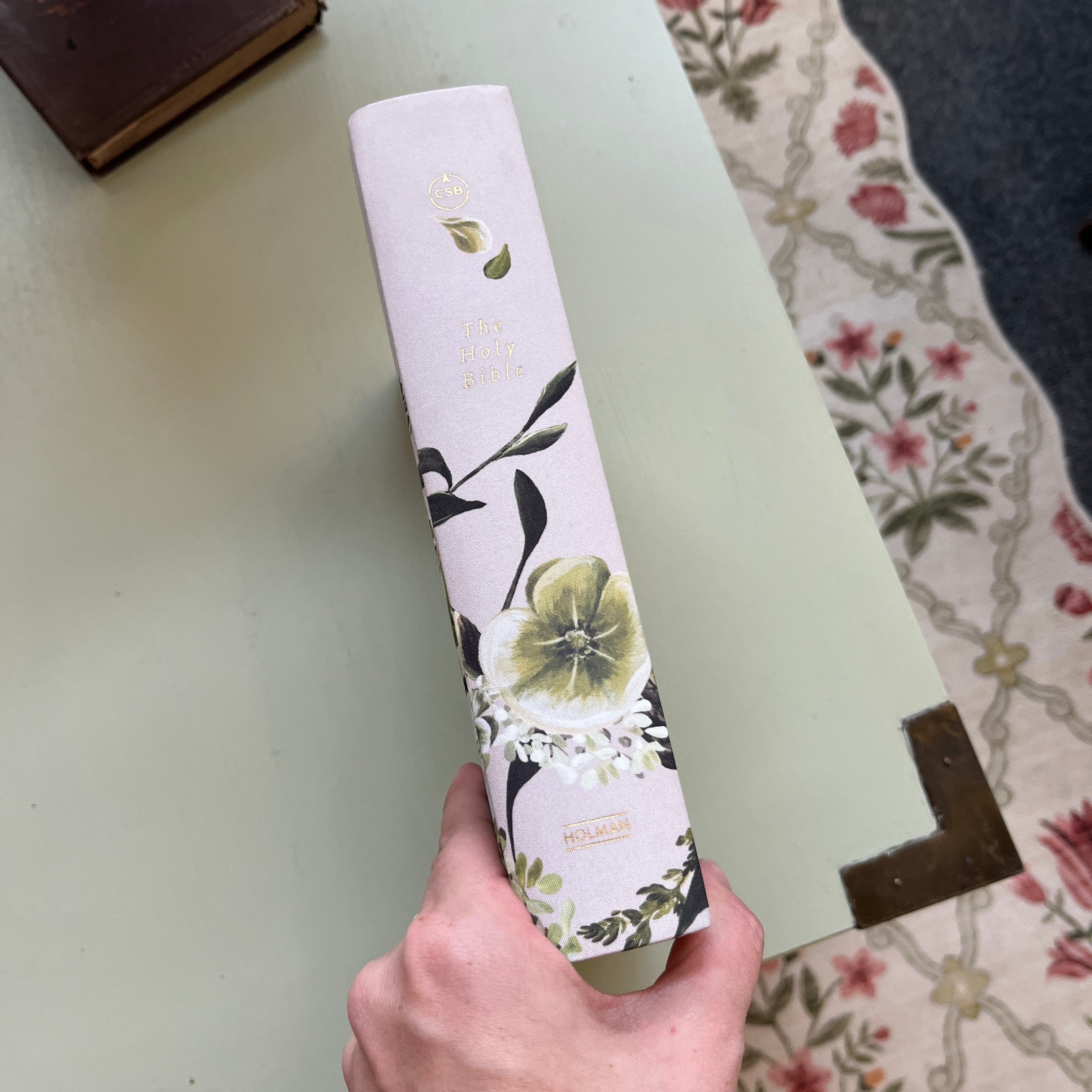 NWT CSB Bible