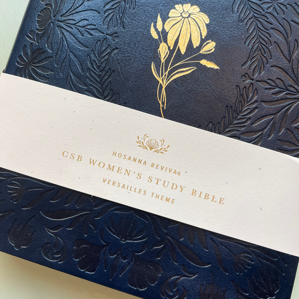 NWT CSB Study Bible