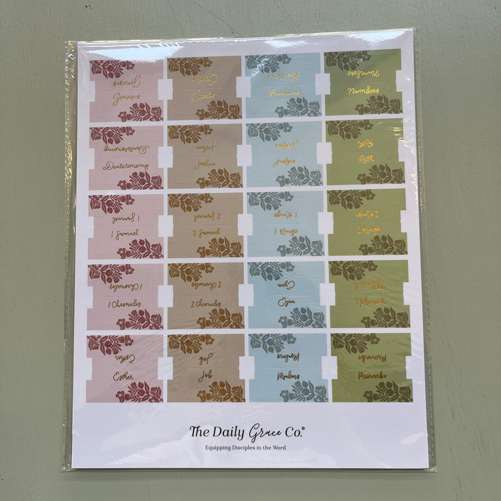NWT CSB Bible Bundle