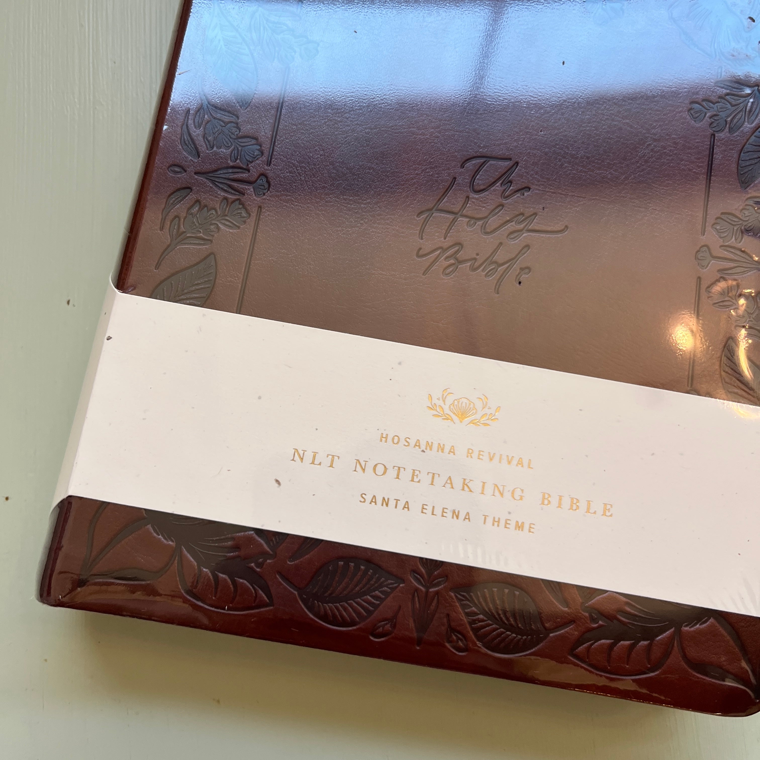 NWT NLT Notetaking Bible
