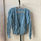 Blue Cardigan (S)