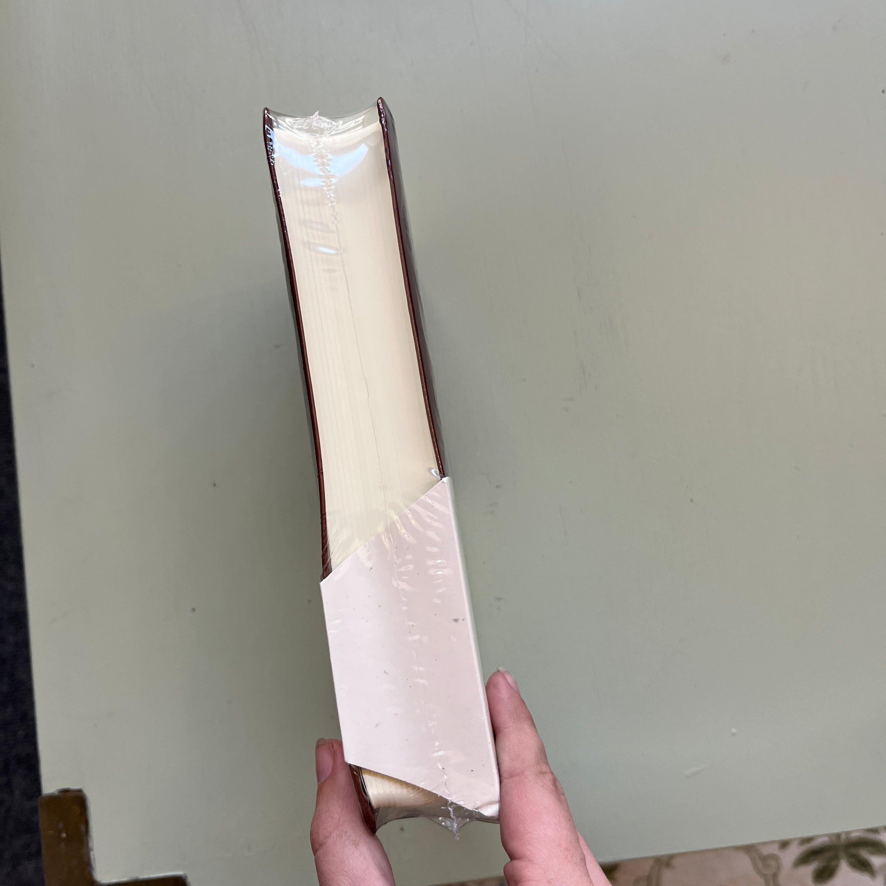 NWT NLT Notetaking Bible