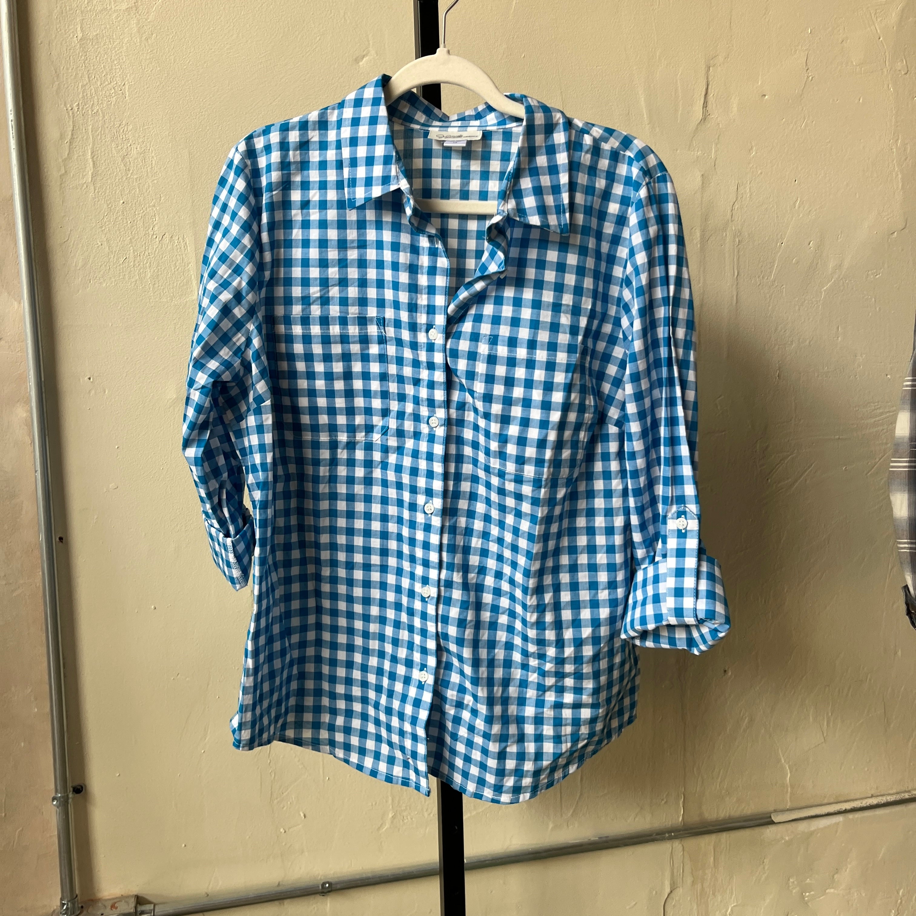 Blue Gingham Shirt (L)