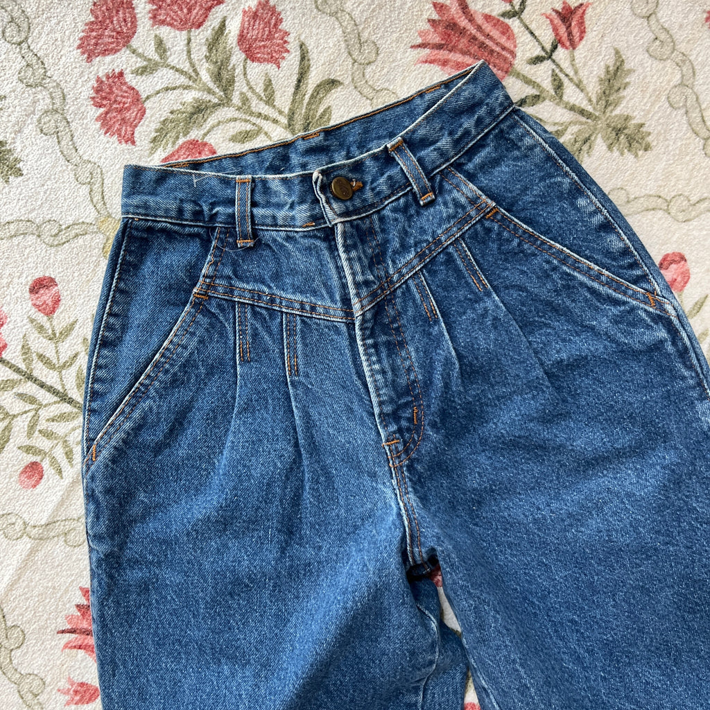 Chic Jeans (23” waist)