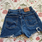 Levi’s 550 Shorts (26” waist)