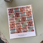 NWT Bible Tabs