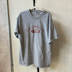 Champion T-shirt (L)