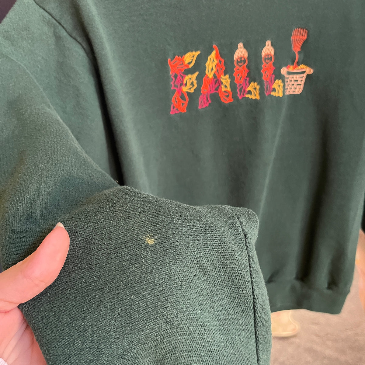 Fall Embroidered Sweatshirt (M)