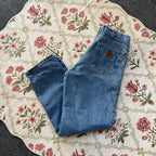 Carhartt Jeans (32x32)