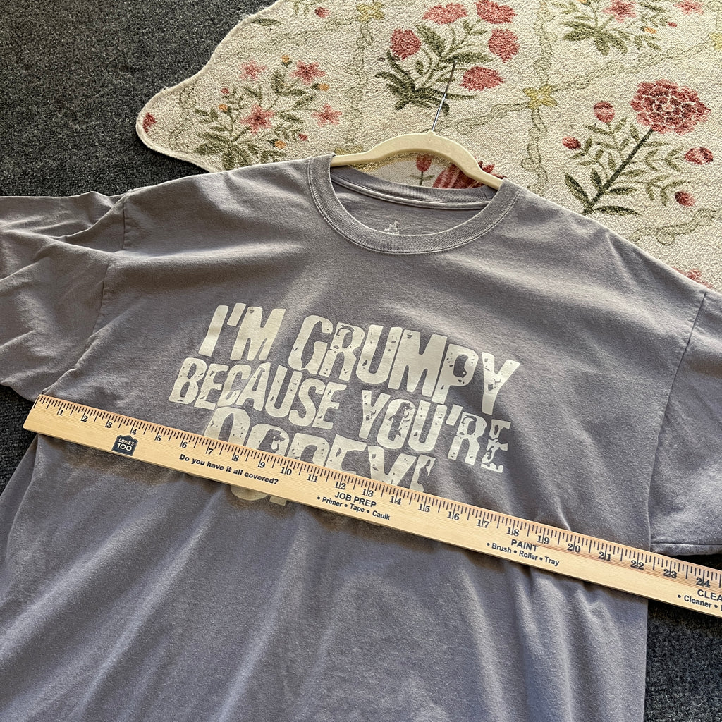 Grumpy Disney Shirt (2XL)