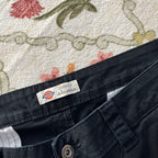 Dickies Shorts (16W)