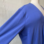 Blue Cardigan (3X)