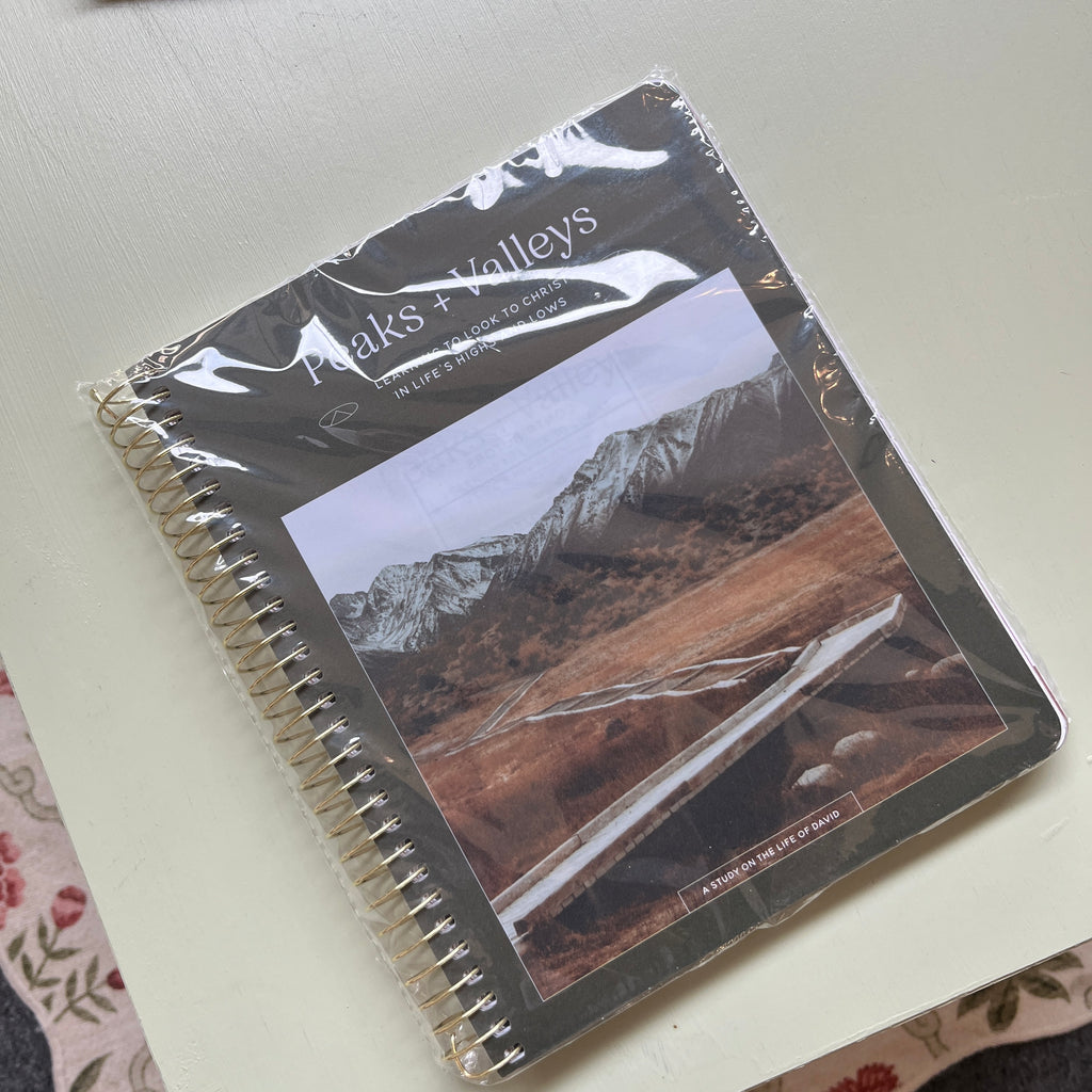 NWT Peaks & Valleys Bible Study