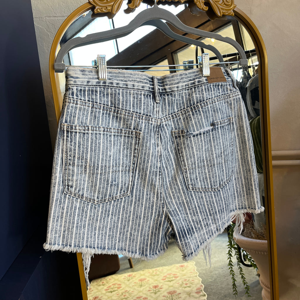 Striped Denim Shorts (8)