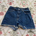Levi’s 550 Shorts (26” waist)