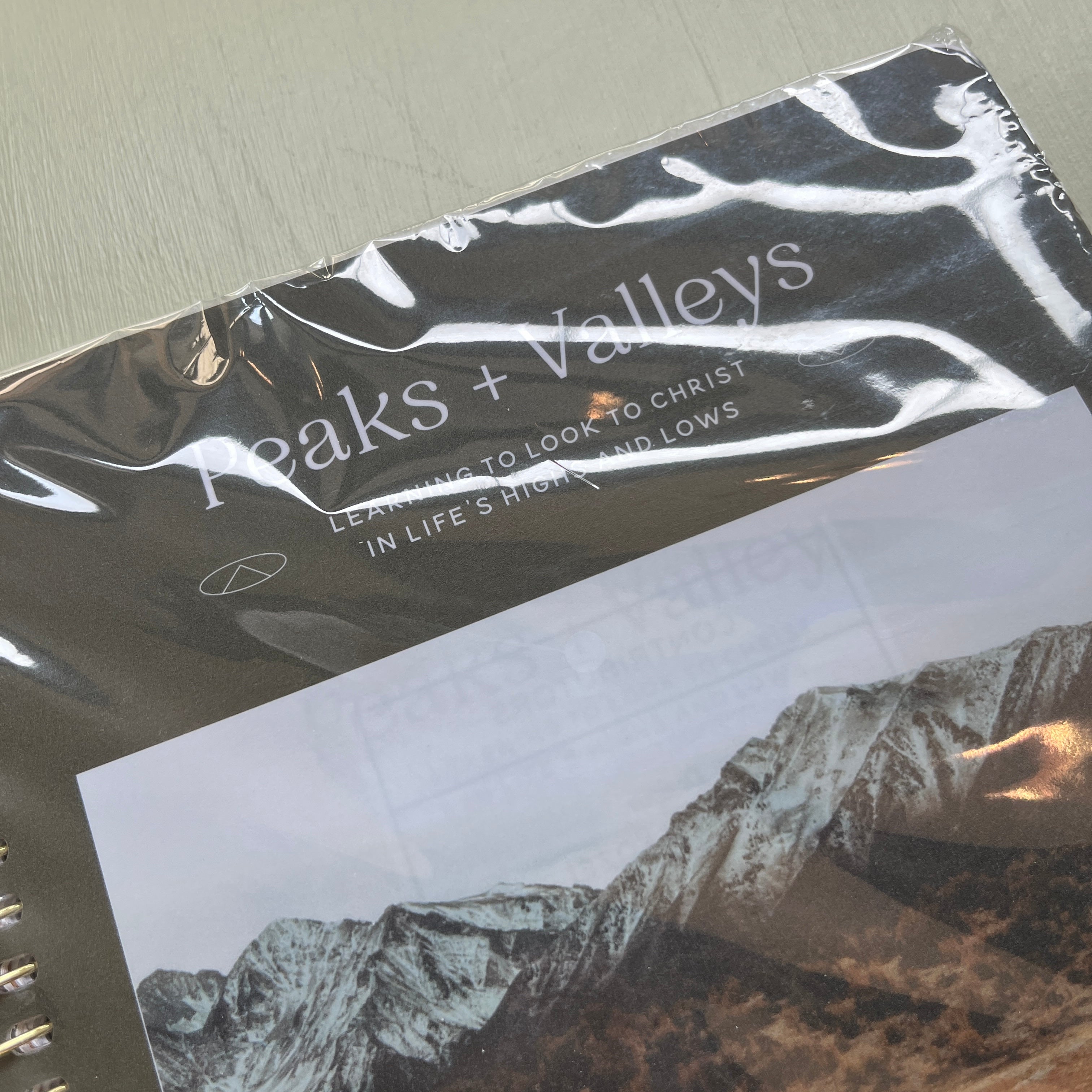 NWT Peaks & Valleys Bible Study