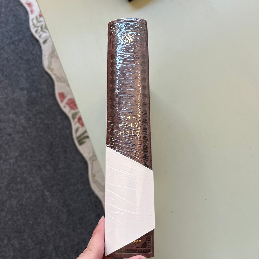 NWT ESV Journaling Bible