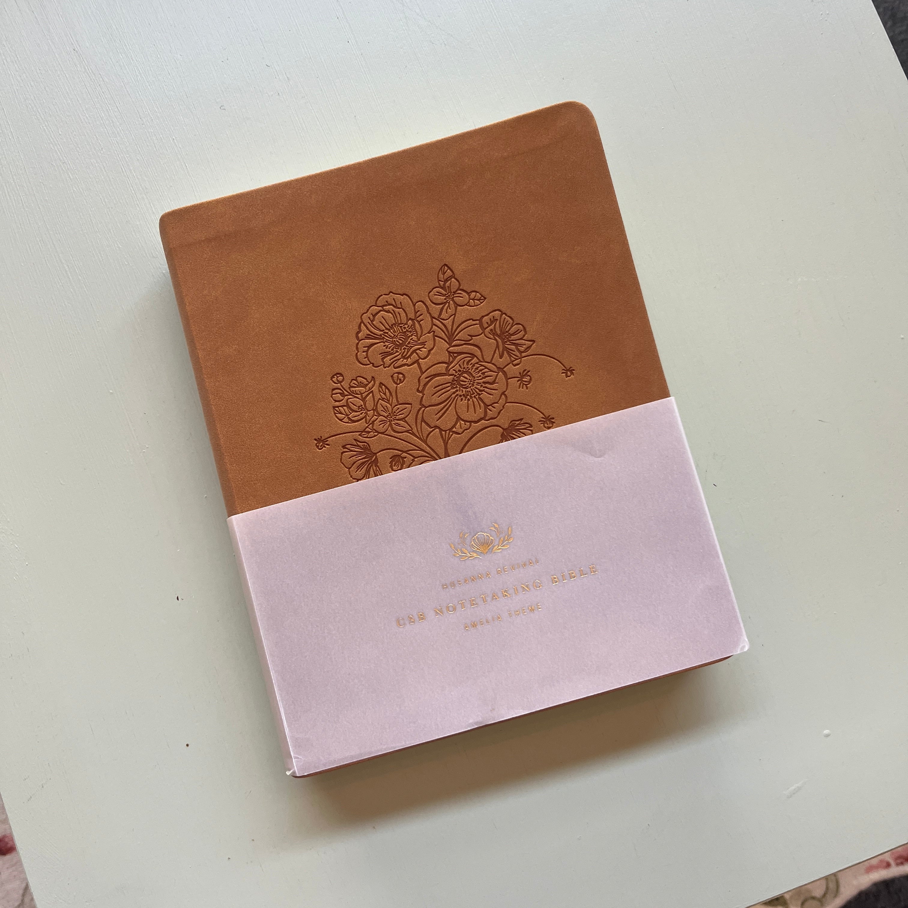 CSB Notetaking Bible