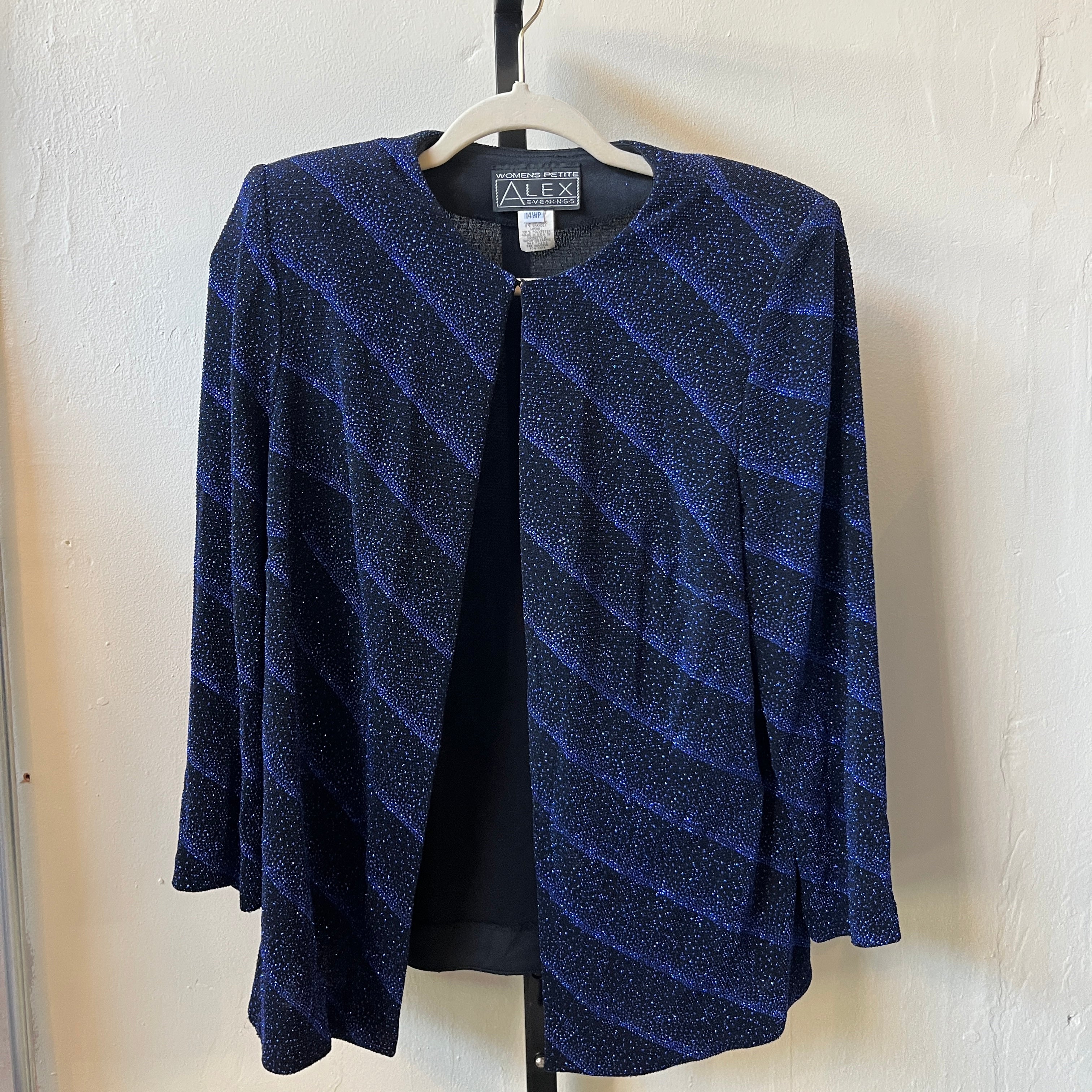 Blue Sparkly Blazer (14)
