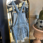 Overall Shorts (L)