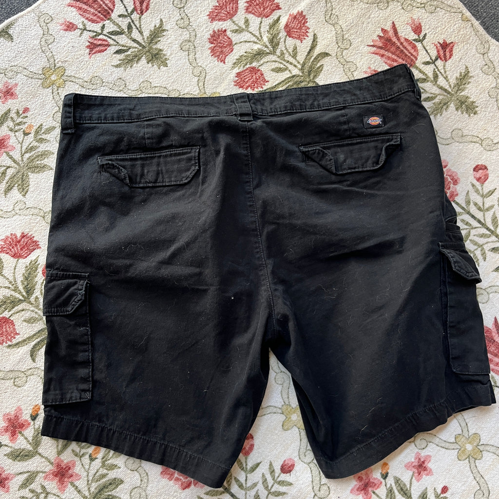 Dickies Shorts (16W)