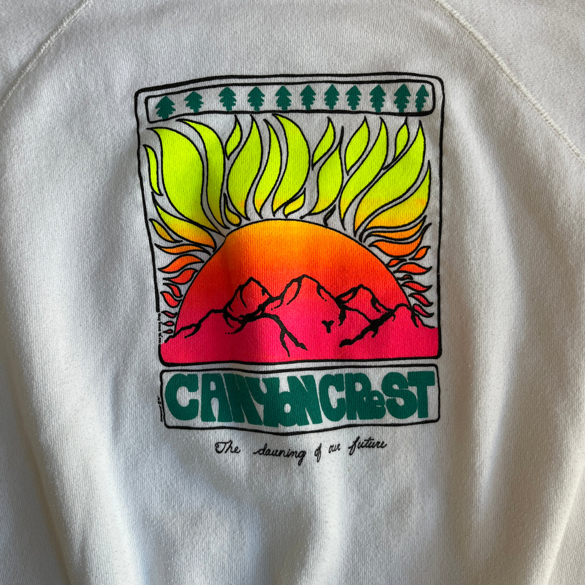 White Graphic Sweatshirt (L)