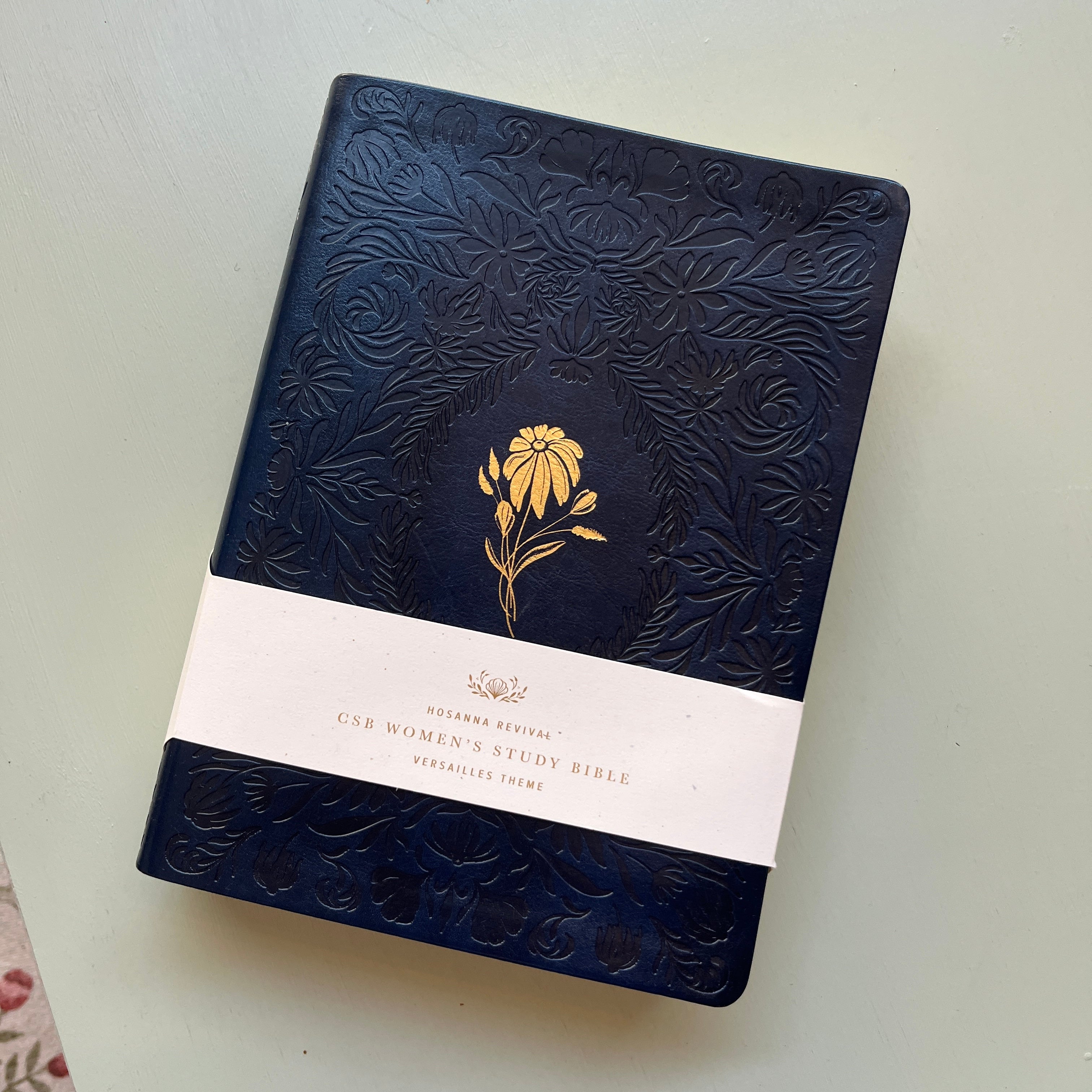 NWT CSB Study Bible