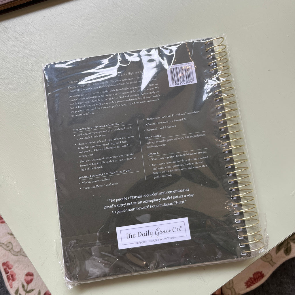 NWT Peaks & Valleys Bible Study